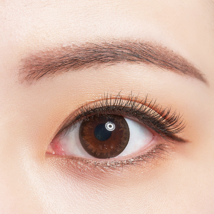 바슈롬 레이셀 스파클링 블랙 6p 한달착용