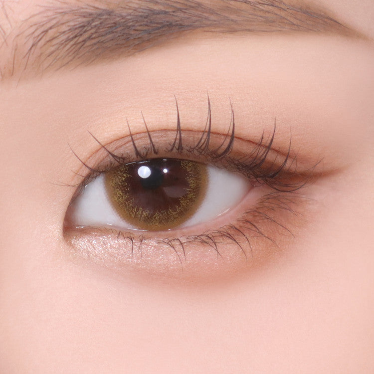 바슈롬 레이셀 프리덤 허니 30p