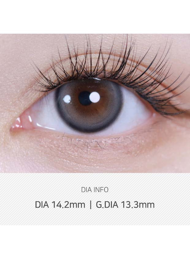 스윗피 그레이 2p 1+1