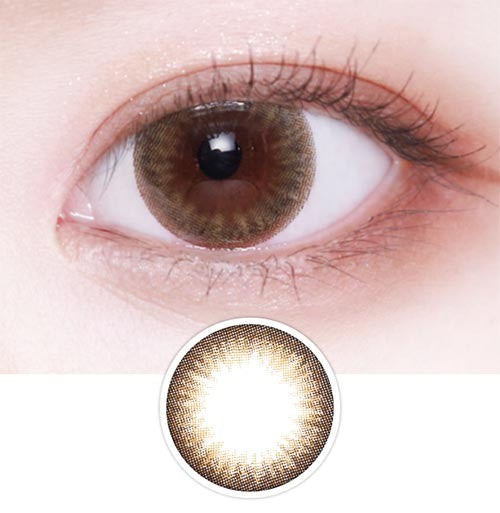 시드니 브라운 10p